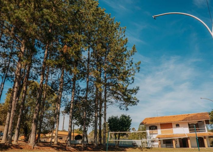 Clinica de Recuperação em Santa Isabel - SP